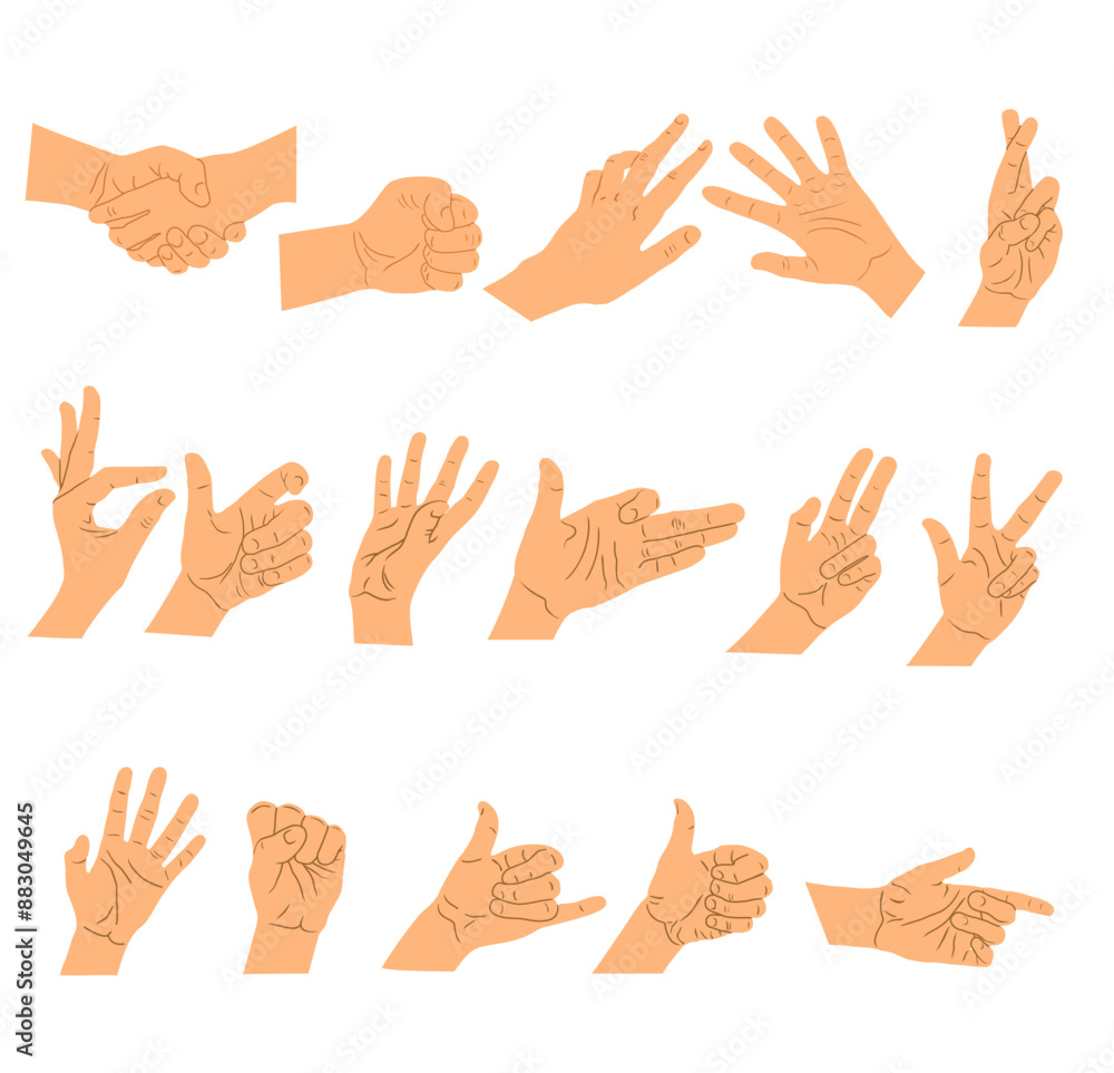 Different hand gestures isolated on white background. flat illustration of female hands in various situations. Design elements set for infographics, web, internet, presentation Different hand gestures isolated on white background. flat illustration of female hands in various situations. Design elements set for infographics, web, internet, presentation