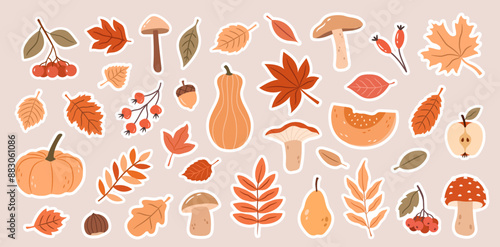 Botanical vector autumn set of leaves and plants. Scrapbooking 