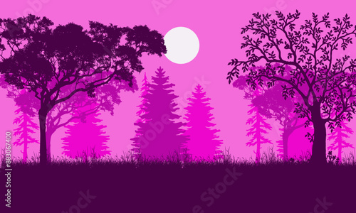 Silhouettes of trees in the forest at night