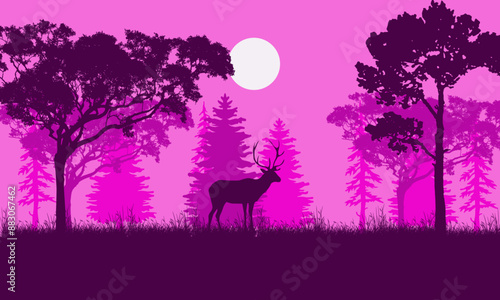 Photography Silhouettes of trees and wild animals in the night forest