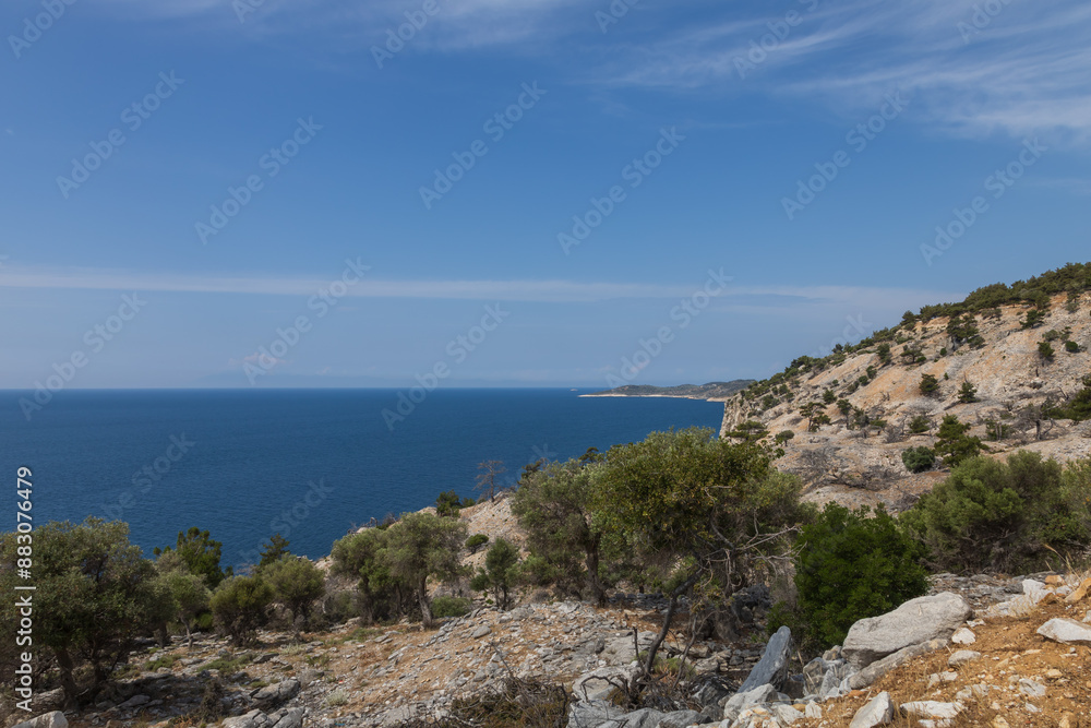 Seaside landscape with burnt trees after fire. Alyki area Thassos island Greece. Trees are already turning green in places. Seaside landscape with burnt trees after fire. Alyki area Thassos island Greece. Trees are already turning green in places.