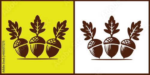 acorn icon set Oak nut Oak seed Oak apple collection Vector illustration