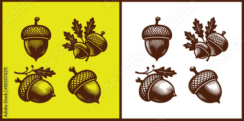 acorn icon set Oak nut Oak seed Oak apple collection Vector illustration