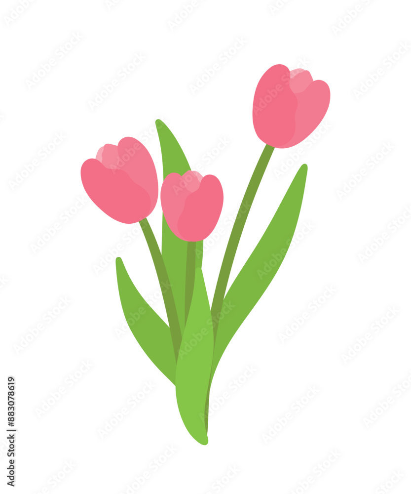 Pink Tulip Flower Plant in Flat Cartoon Vector Illustration Pink Tulip Flower Plant in Flat Cartoon Vector Illustration