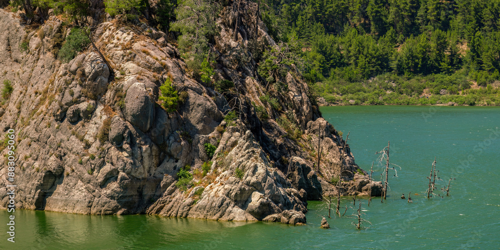 Fototapeta premium High cliffs, forest and dried trees by the lake