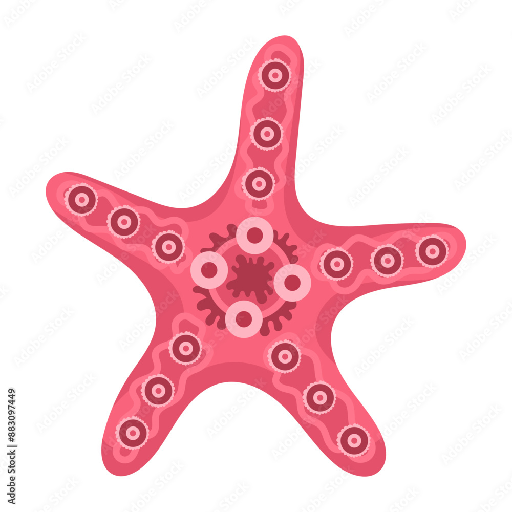 Seashell in the shape of a star on a white background. Seashells icon illustration