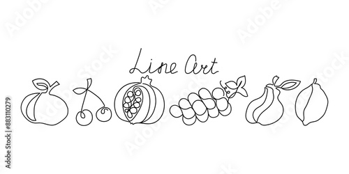 Set fruits drawn in one line. Black outline, linear icons. Line art, hand lettering. Pomegranate, pear, apple, lemon, grapes, cherry. Vector graphics. Isolated background.
