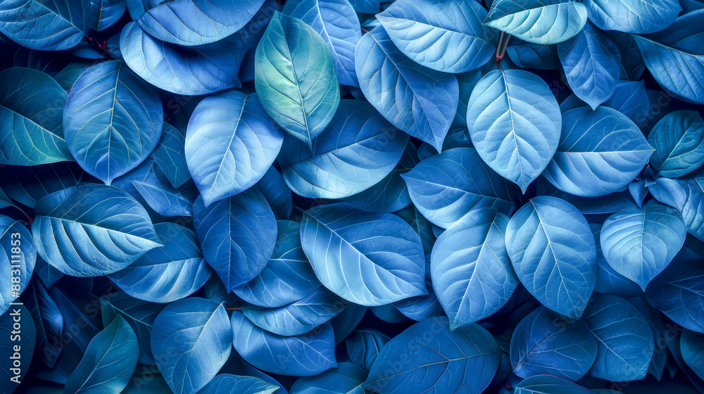 Blue Leaf Texture Background Blue Leaf Texture Background
