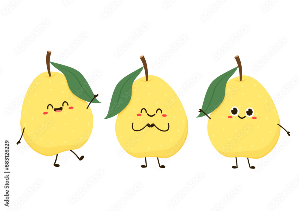 Asian pear whole fruit and half isolated on white background. Vector illustration of tropical exotic fruits in flat style. Asian pear whole fruit and half isolated on white background. Vector illustration of tropical exotic fruits in flat style.