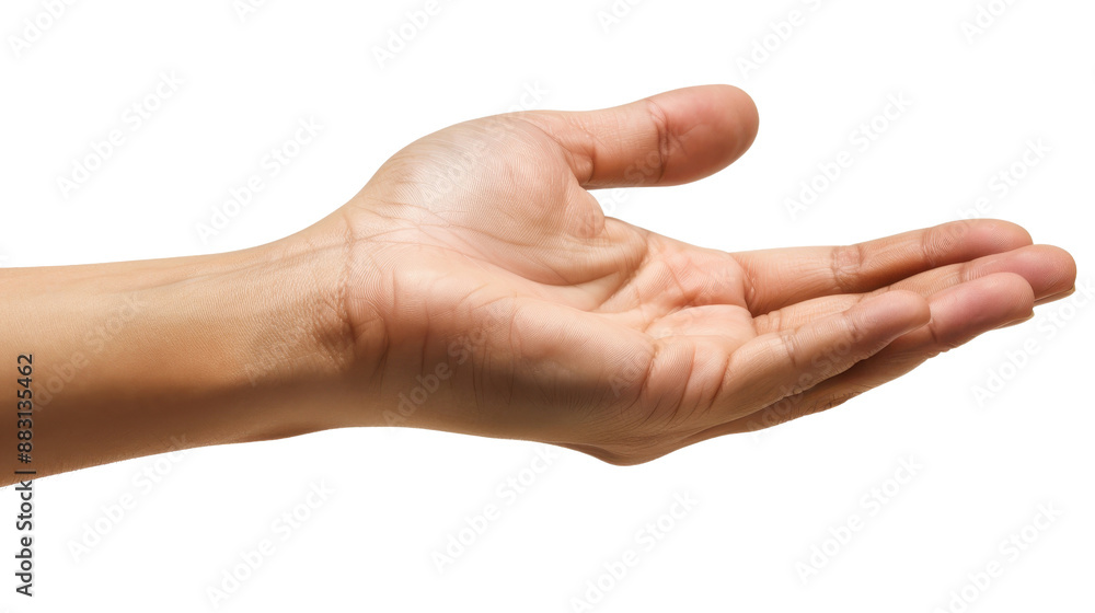 Open Hand Gesture Against White Background Open Hand Gesture Against White Background