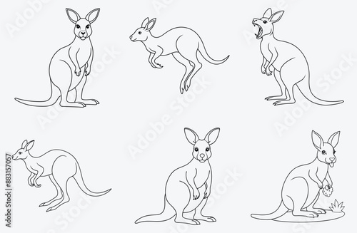 The Ultimate Kangaroo Line Art Collection
