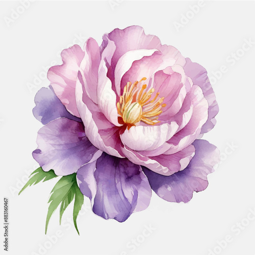 Watercolor bouquet flowers watercolor on white background,  bouquet flowers watercolor
