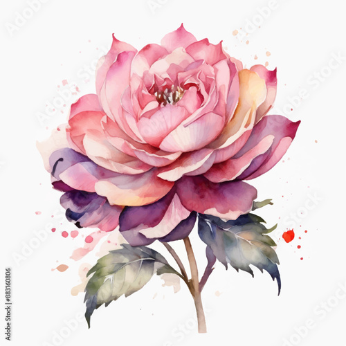 Vector Floral Card Design Wedding Invitation Vintage Flower Illustration Botanica Background, Watrecolor	