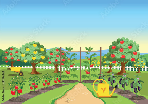 A cute garden with an apple tree, a white fence, a garden path, ripening vegetables in the beds and a yellow garden watering can. Organic gardening. Vector illustration.