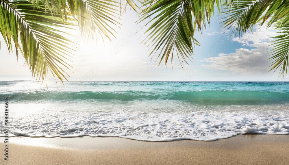 beach with palm trees. Paradise with ocean and palm leaves beach with palm trees. Paradise with ocean and palm leaves