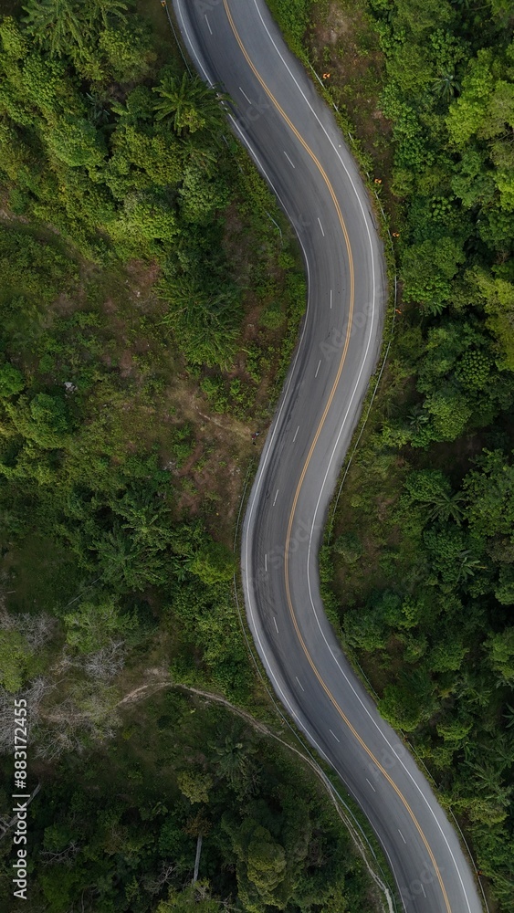 Top view of asphalt road through forest with car adventure Top view of asphalt road through forest with car adventure