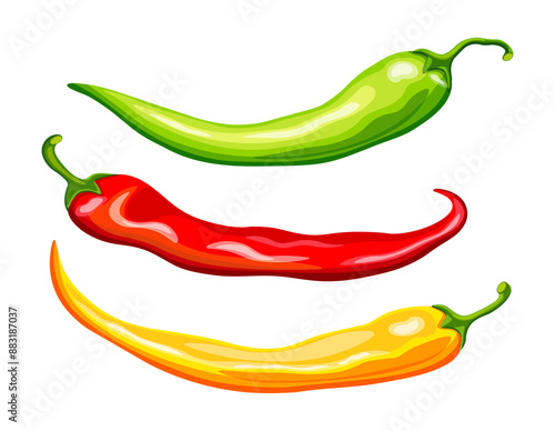 Set of chili peppers in cartoon style. Vector illustration of delicious and hot chili peppers: green, red, yellow isolated on white background. Cooking. Healthy food. Logo. Banner.
