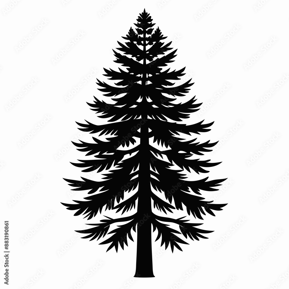 Obraz premium silhouette of tree