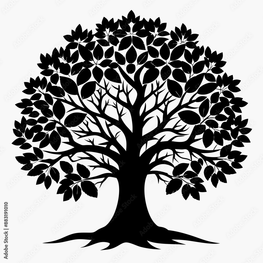 Obraz premium silhouette of tree