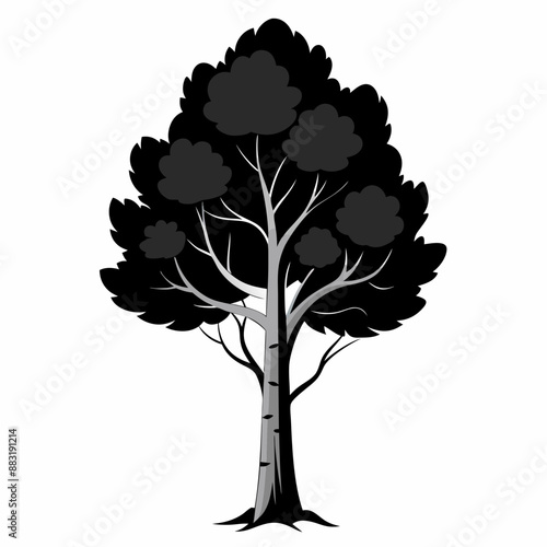 silhouette of tree