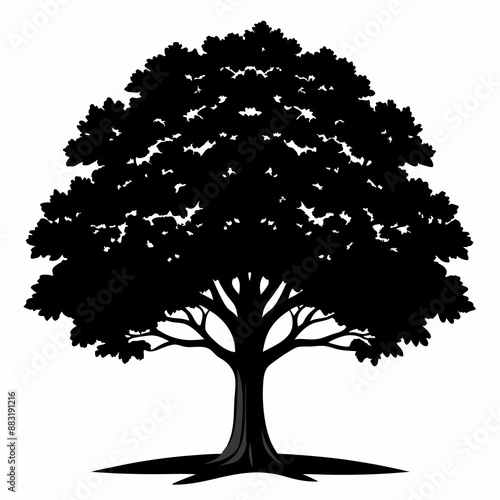 silhouette of tree