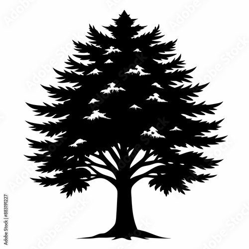 silhouette of tree