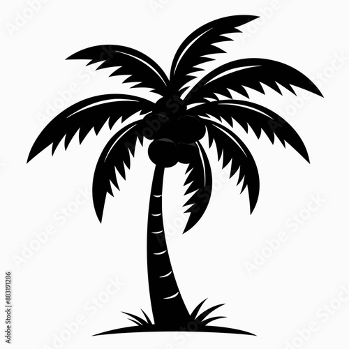 silhouette of tree