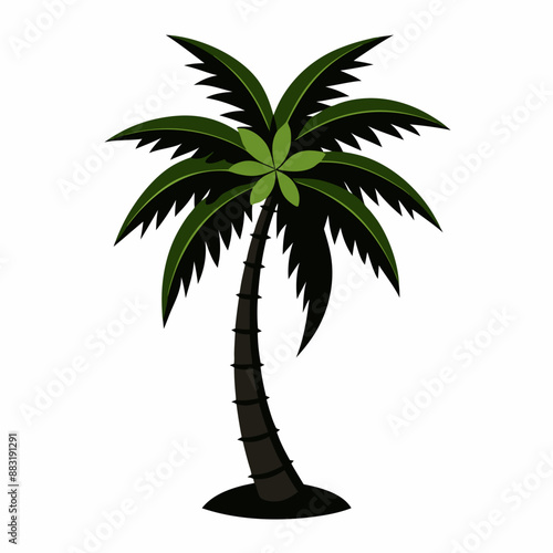 silhouette of tree