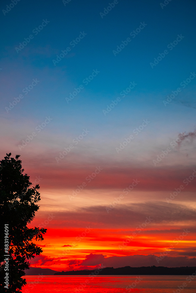 Silhouette of leaves on the beach at sunset Silhouette of leaves on the beach at sunset