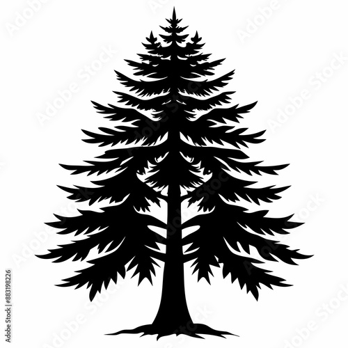 silhouette of tree