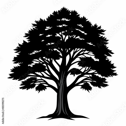 silhouette of tree