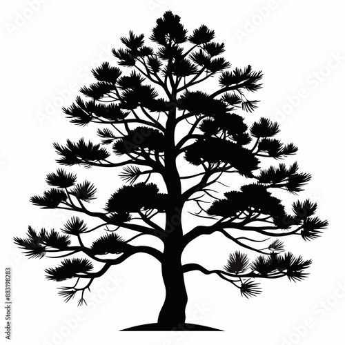 silhouette of tree