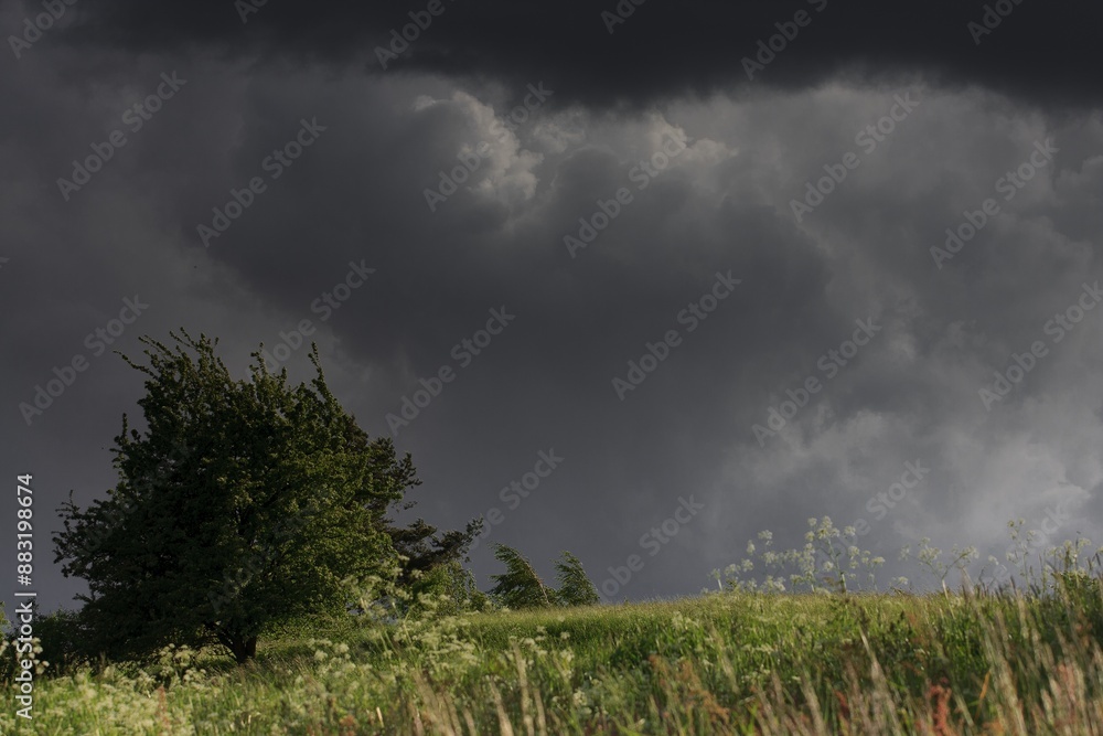 Fototapeta premium Obłoki nad polami