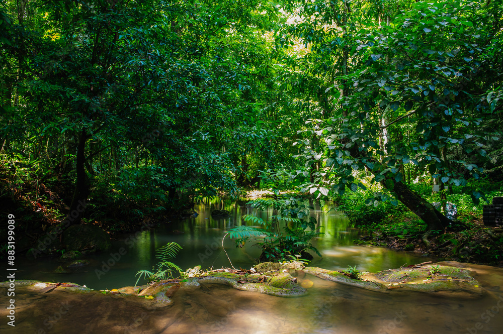 Fototapeta premium Waterfall in the national park forest