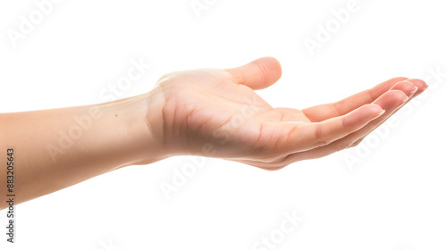 Hand palm stretching out, offering, showing gesture, isolated on white background, transparent png photo