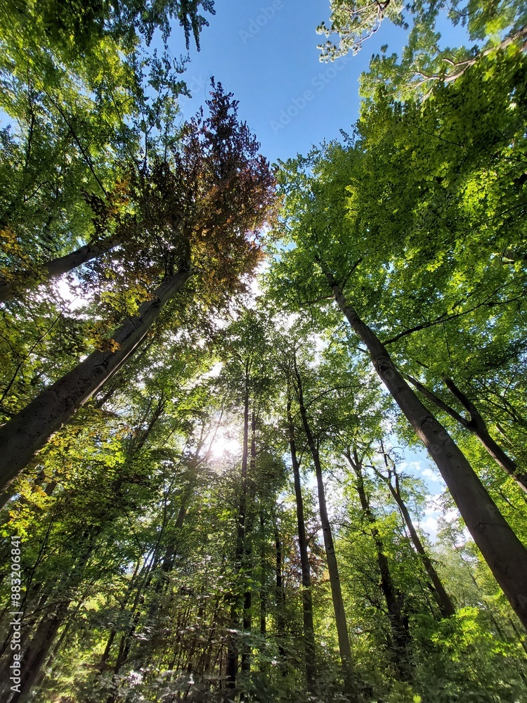 Blick nach oben Blick nach oben