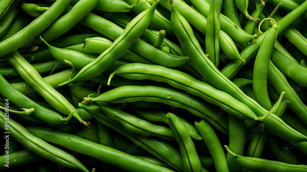 Green beans with water drops on a black background. Top view. Green beans with water drops on a black background. Top view.