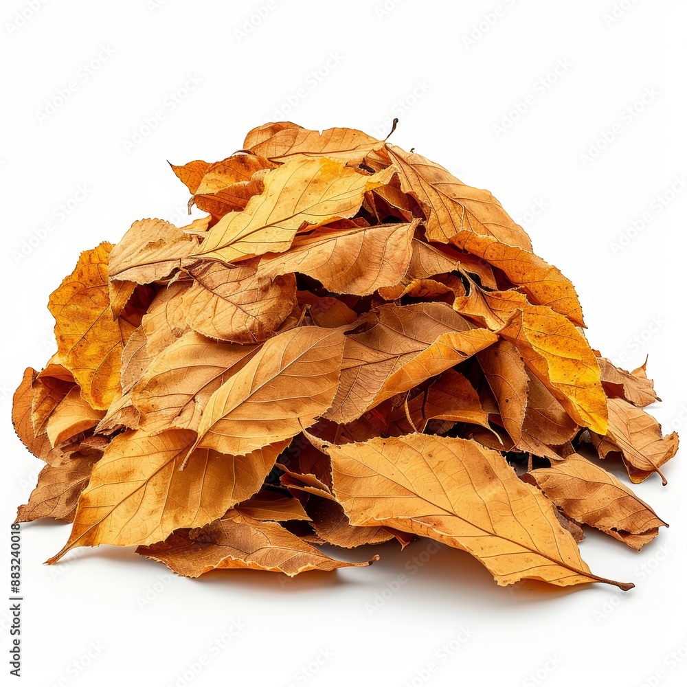 Autumn Leaves Pile on White Background Generative AI Autumn Leaves Pile on White Background Generative AI