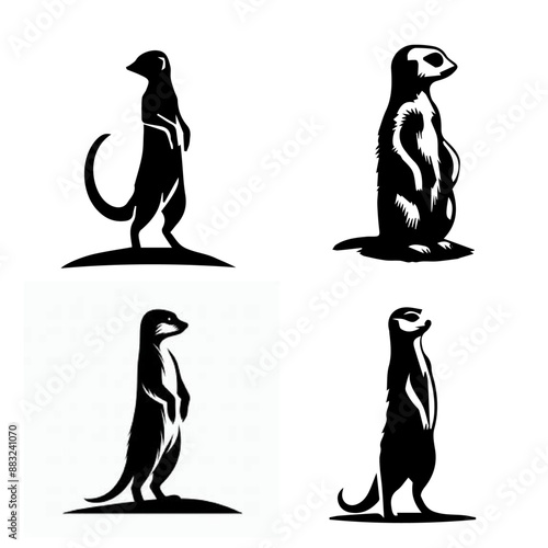 Meerkat Standing sentry silhouette isolated on white background