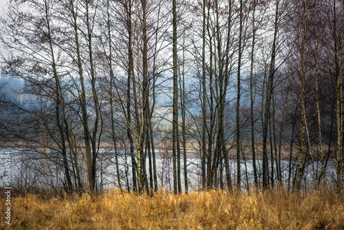 Fototapeta Naklejka Na Ścianę i Meble -  Przedwioąnie