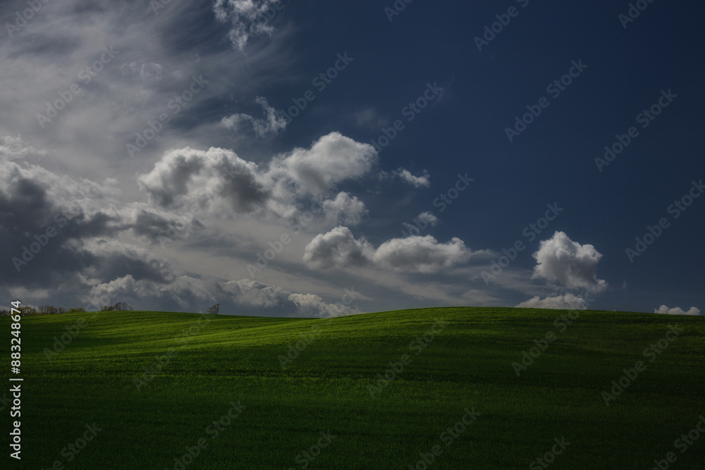 Fototapeta premium Chmury nad polem