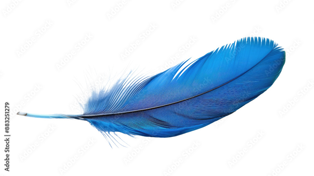 Blue feather on transparent background Blue feather on transparent background