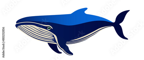 Whale. Ocean mammal animal. Bright vector isolated illustration