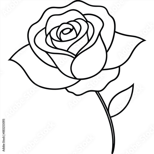 Rose flower silhouette with white background