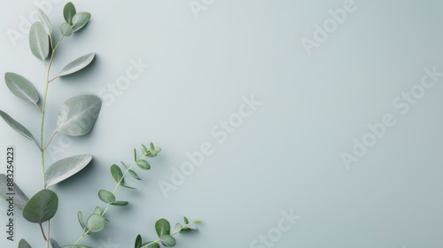 A simple gray backdrop featuring a subtle foliage border, providing generous copy space for adding custom content.