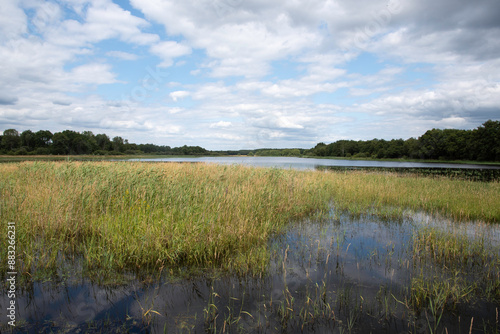 Etang de Beaumont, Conservatoire d’espaces naturels Centre Val de Loire, Neung sur Beuvron, Loir et Cher, 41, Sologne, France photo