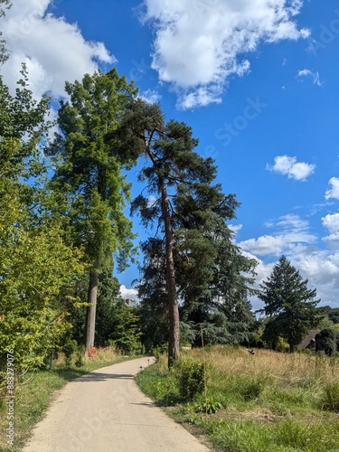 road in the forest, Jouy en josas, suburbs of Paris. photo