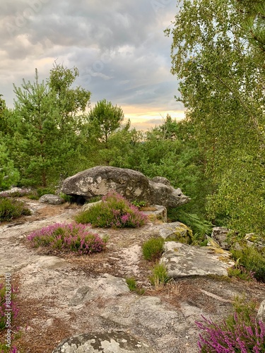 Le rocher de la souris en forêt de Fontainebleau, France