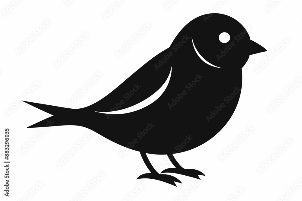bird on white background bird on white background