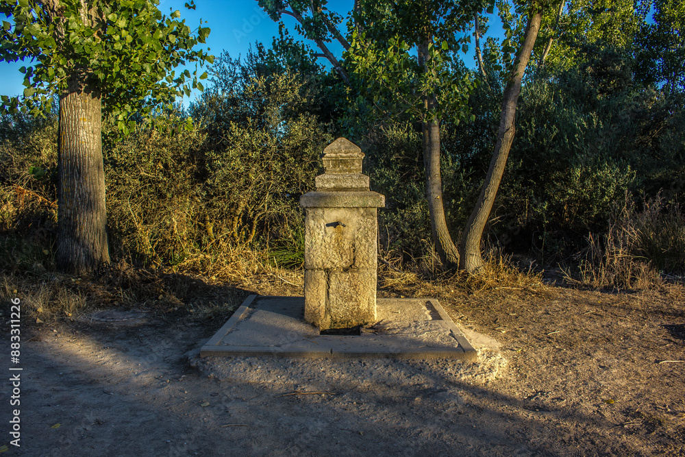 Fototapeta premium FUENTE DE PIEDRA EN DEHESA BOYAL EN SAN SEBASTIAN DE LOS REYES